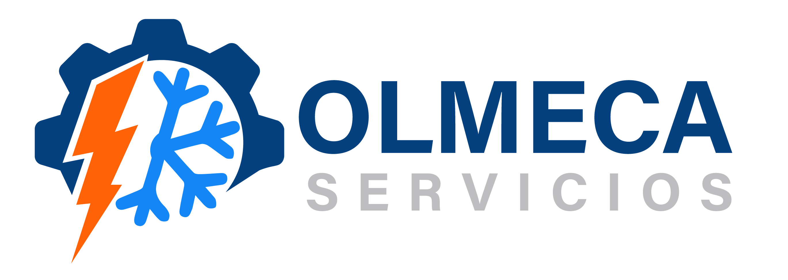 olmecaservicios.com